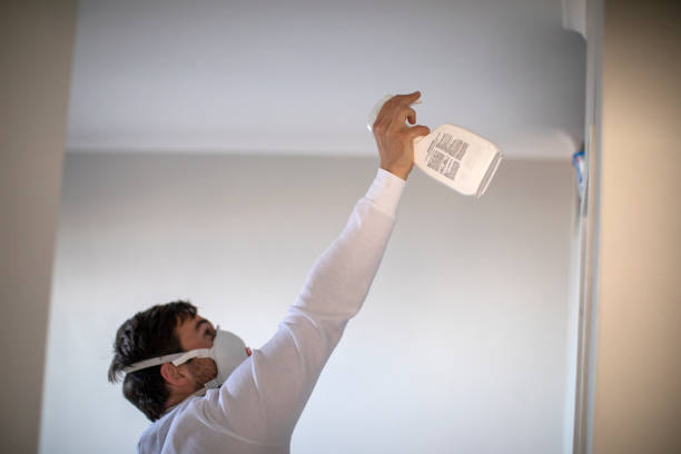 Best Certified Mold Removal  in Petersburg, VA